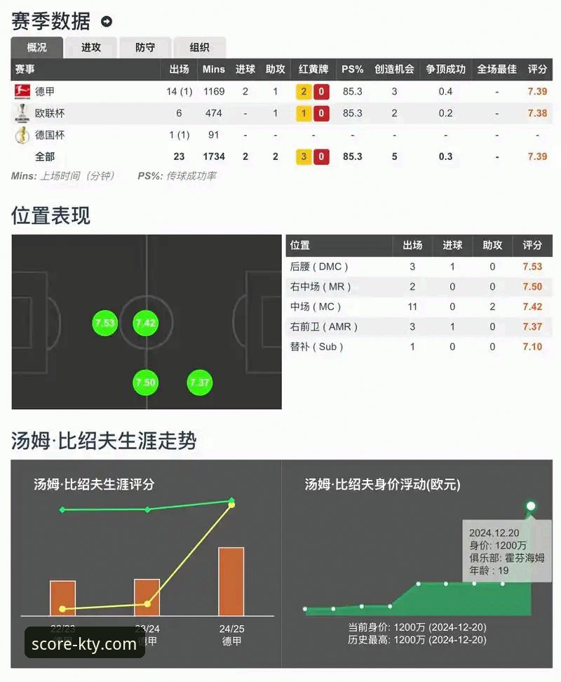 K体育官方平台深度评测：实时比分精准度与专业功能全面解析