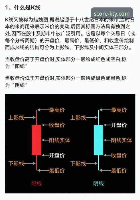 k体育数据分析能力深度解析：从入门到精通的全面指南